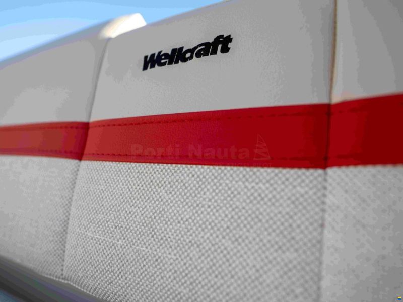 Wellcraft 28 T-Top