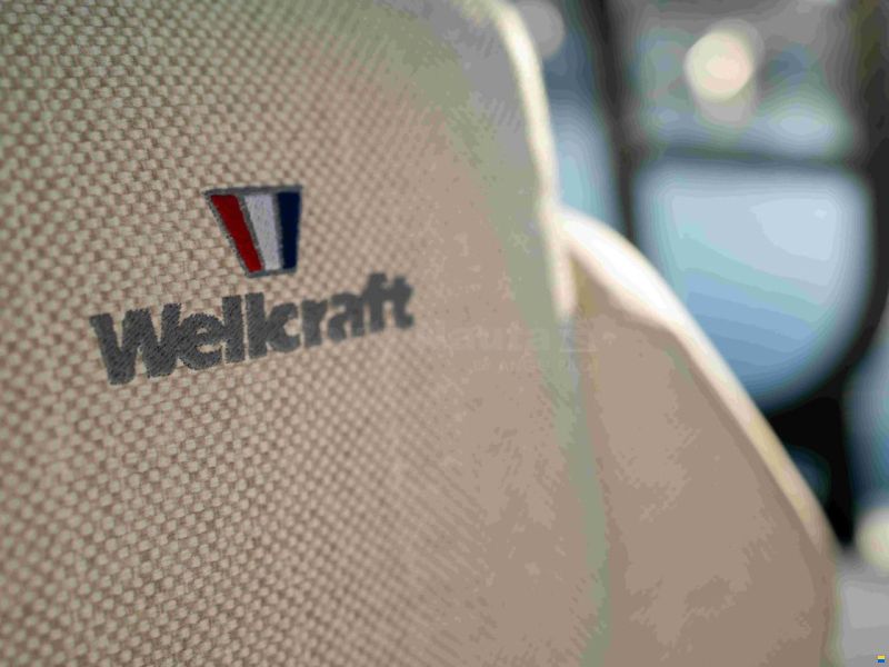 Wellcraft 28 T-Top