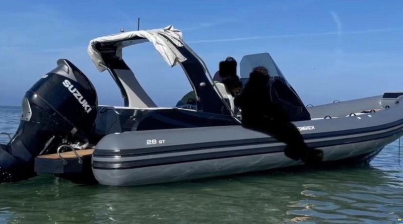 Stingher 28GT