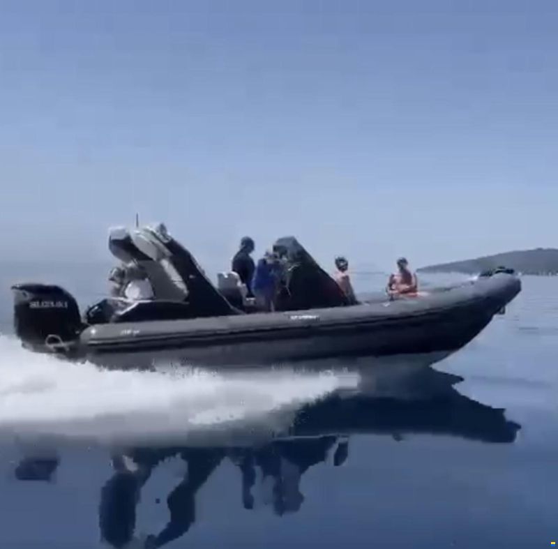 Stingher 28GT