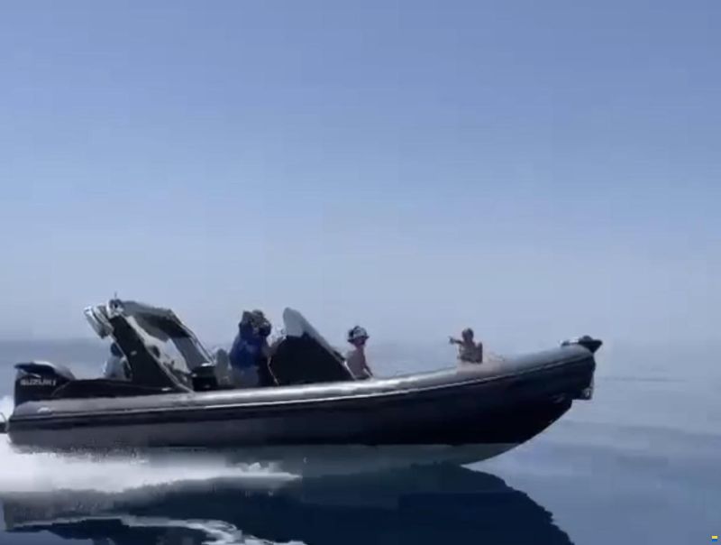 Stingher 28GT
