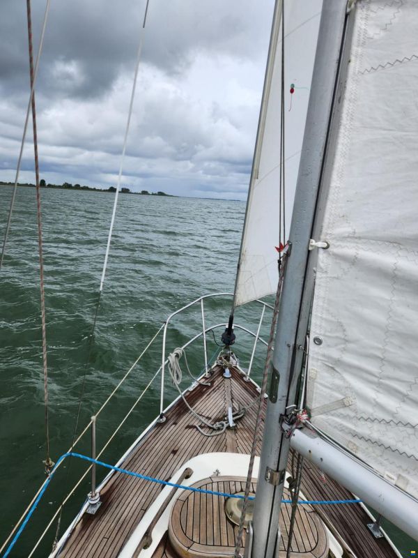 Stöberl Condor 7