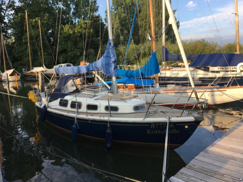 Stöberl Condor 7