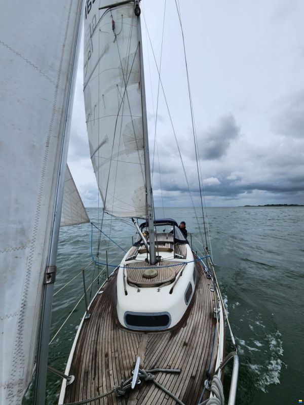 Stöberl Condor 7