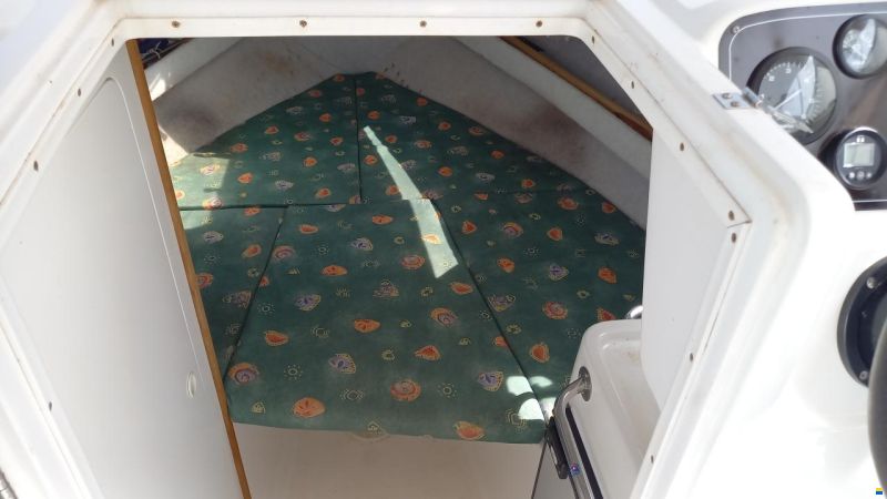 Drago Sorocos Aft Cabin
