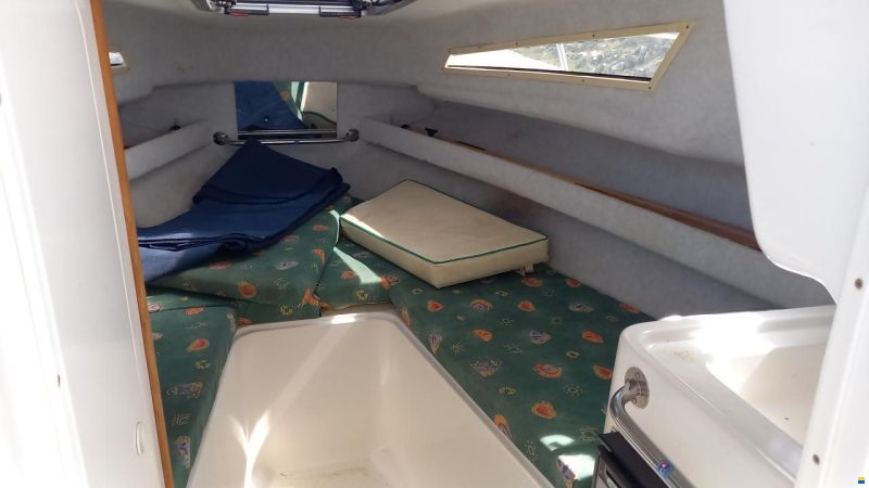 Drago Sorocos Aft Cabin