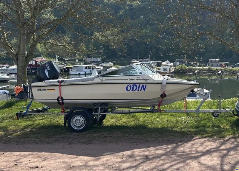 Hellwig Triton