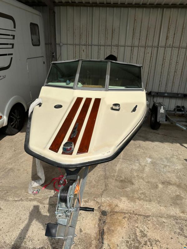 Hellwig Triton