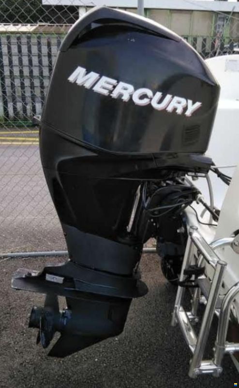 Mercury   F60 ELPT BF EFI