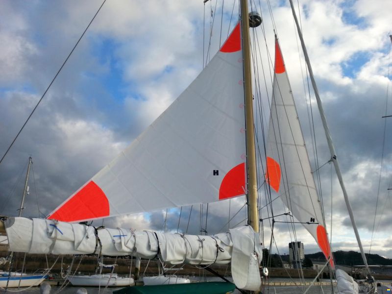 Van de Stadt Gallant 53