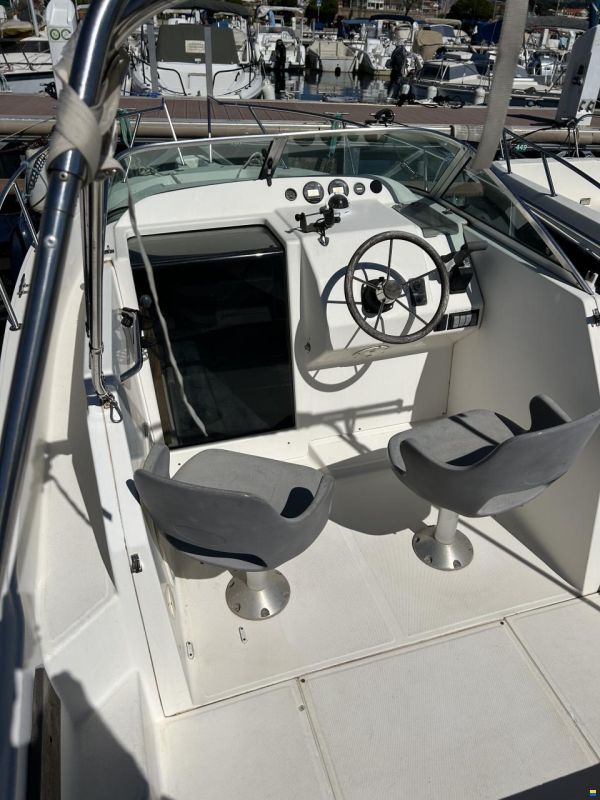Kelt White Shark 236