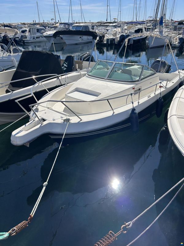 Kelt White Shark 236