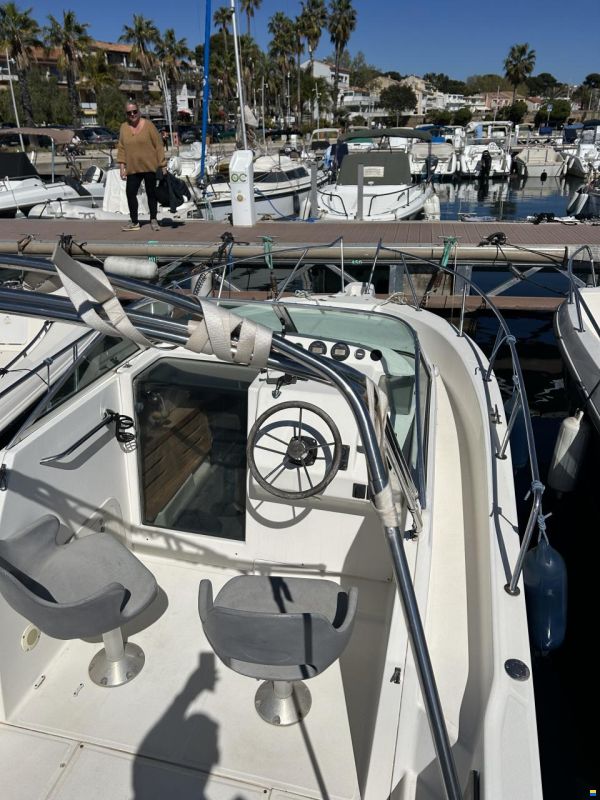 Kelt White Shark 236