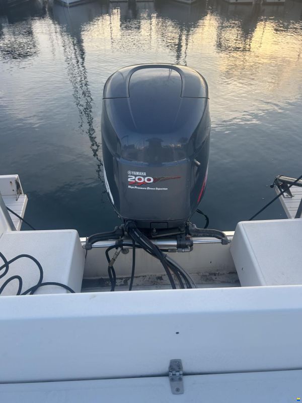 Kelt White Shark 236