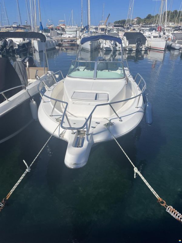 Kelt White Shark 236