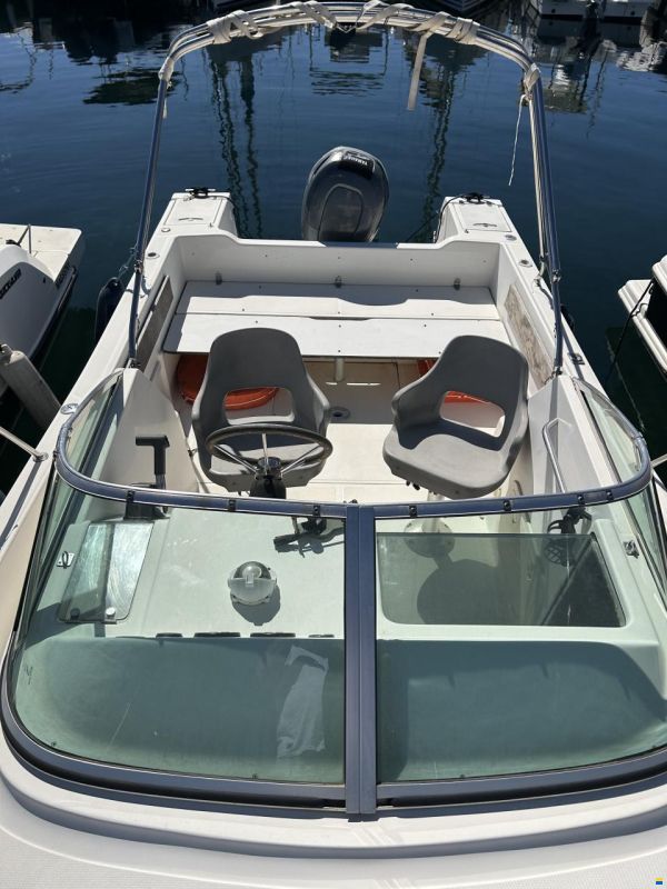 Kelt White Shark 236