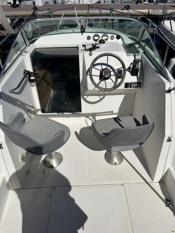 Kelt White Shark 236