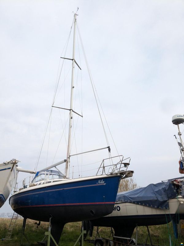 Maxi 38