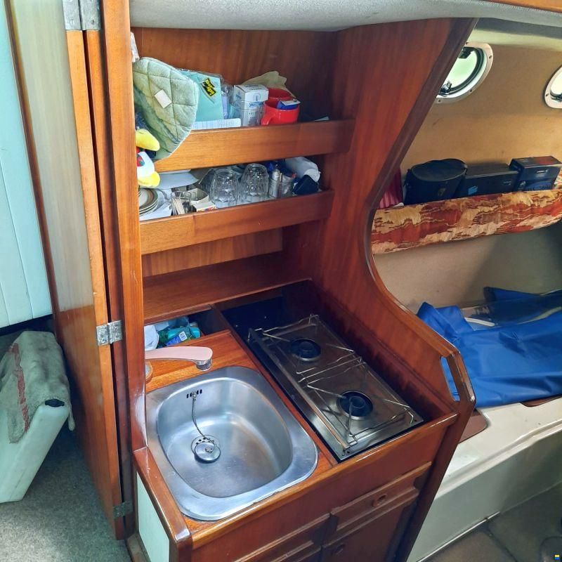 Allround Seacruiser