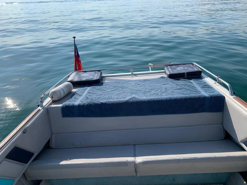 Schweizer A VENDRE – Schweizer Saphir 560 Colombia