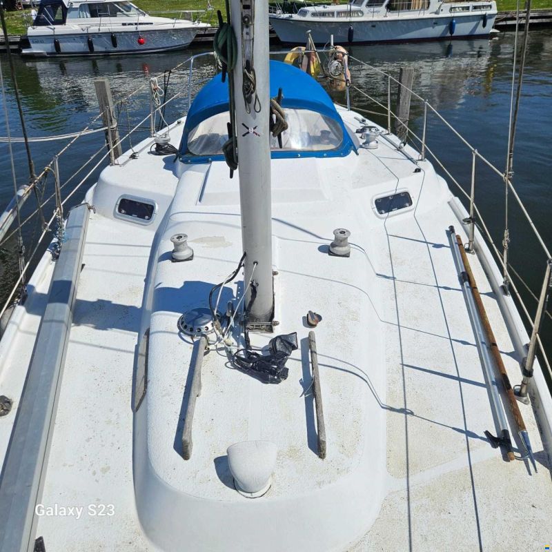 Deerberg Beryll 9.15