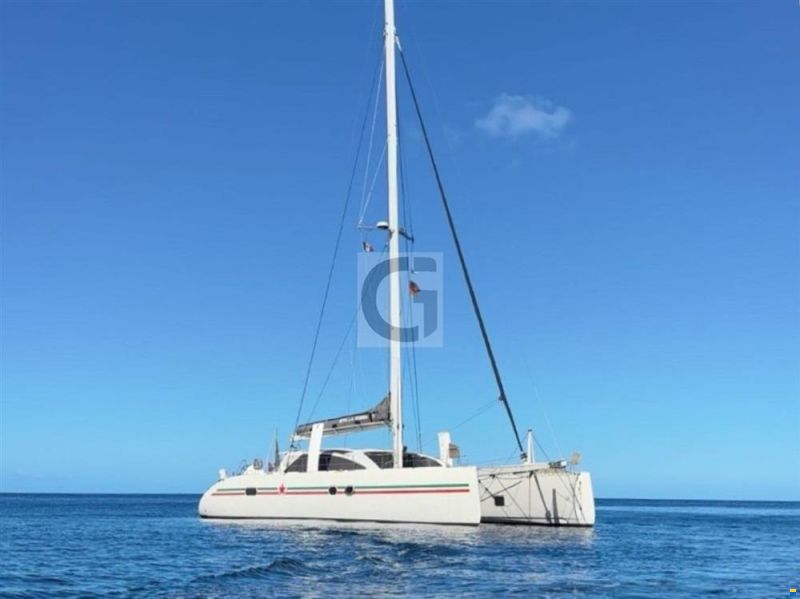 ICE CAT 61