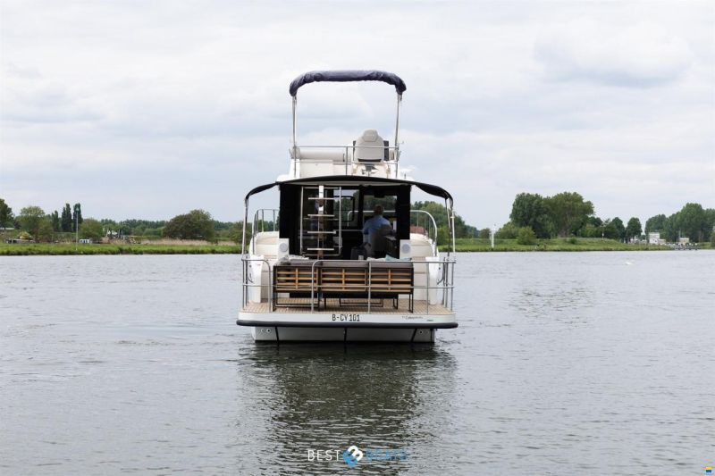Cobra Futura 36 Premium Fly