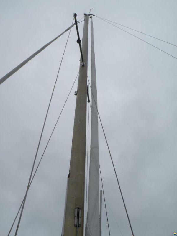 30