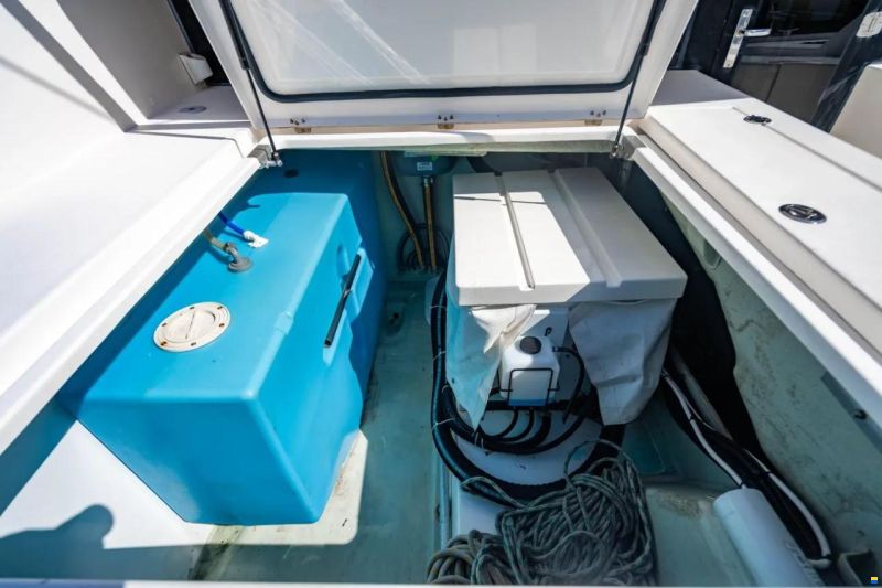 Leopard 40