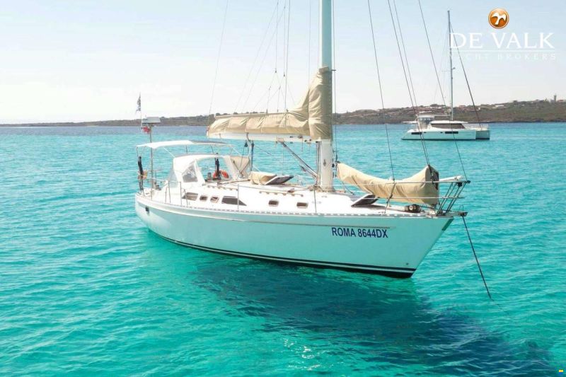 Freedom 38