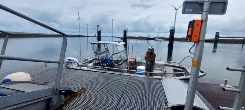 Arronet 24,5 SXP
