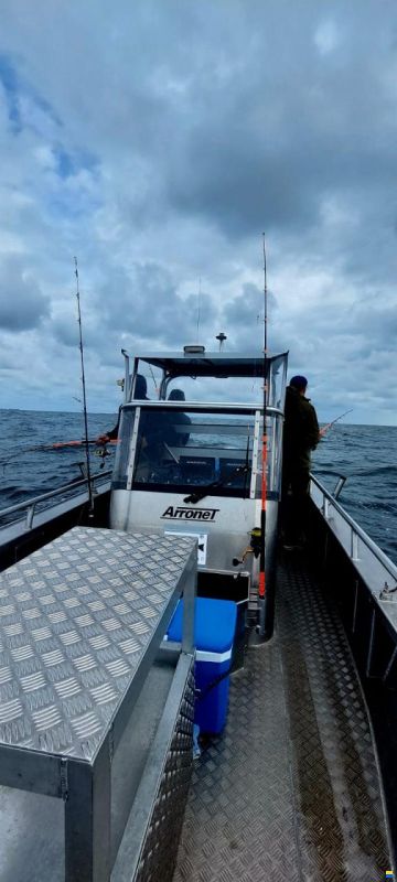 Arronet 24,5 SXP