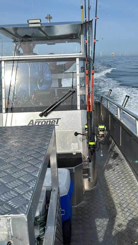 Arronet 24,5 SXP