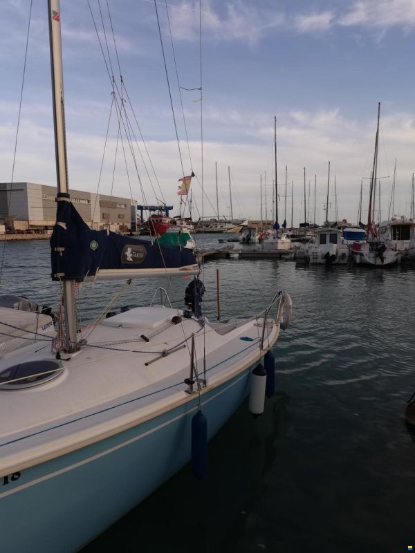 Tarsis 20
