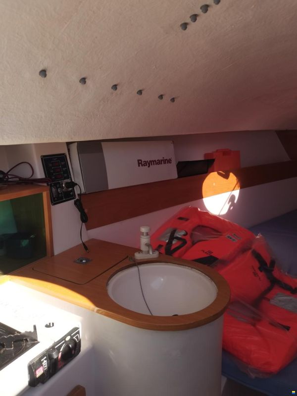 Tarsis 20