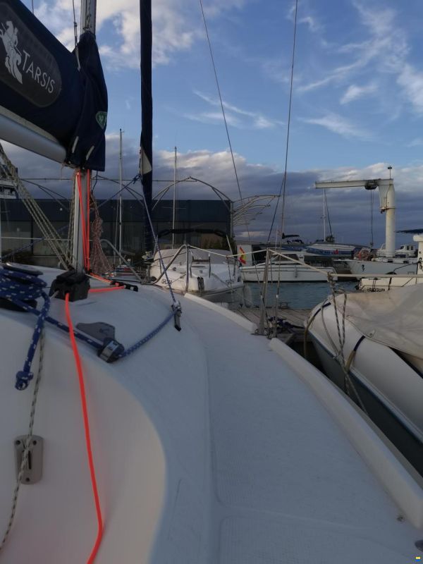 Tarsis 20