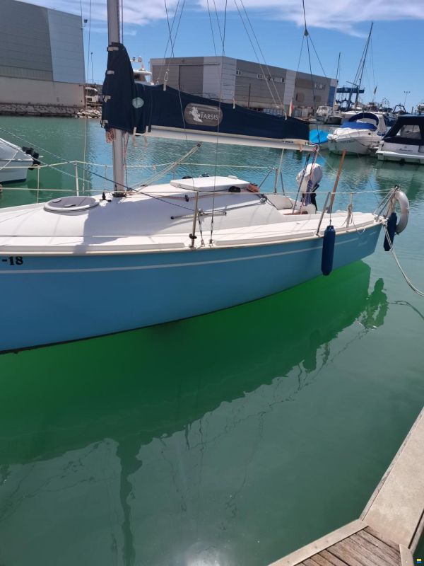 Tarsis 20