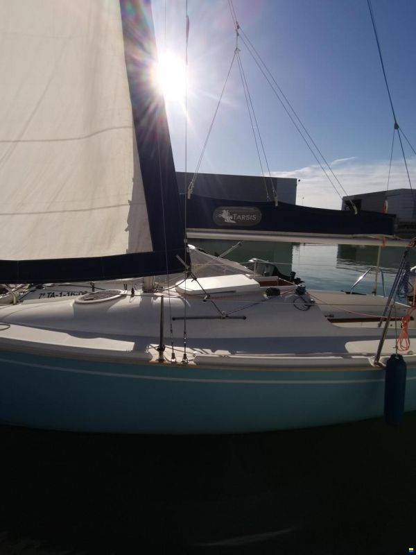 Tarsis 20