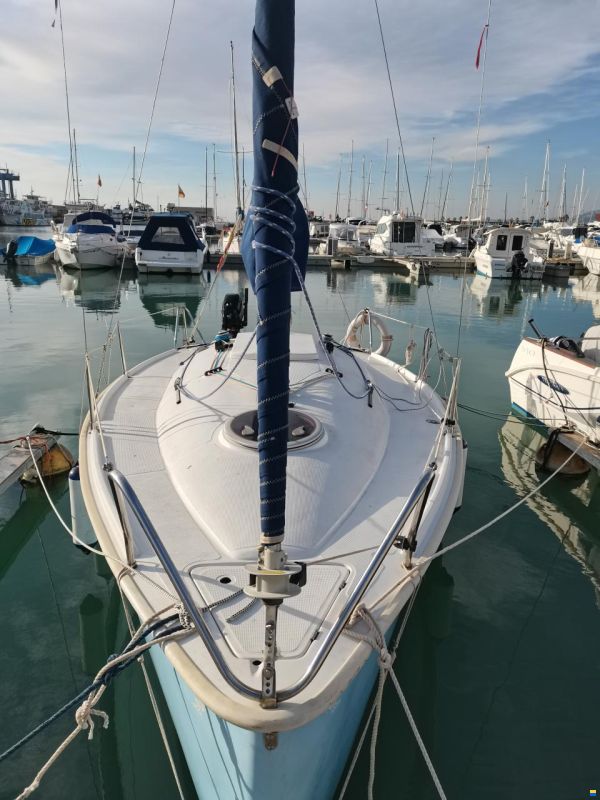 Tarsis 20