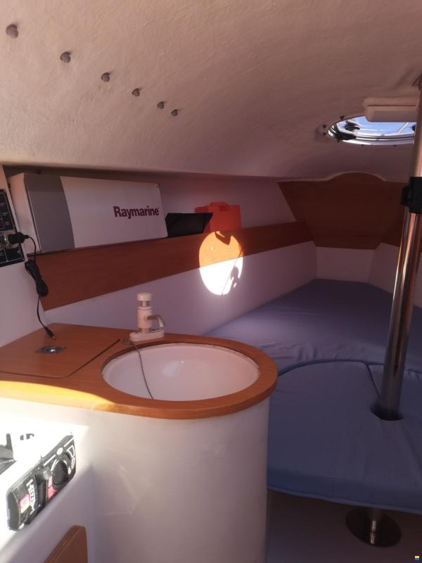 Tarsis 20