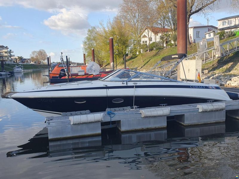 Cobalt 293