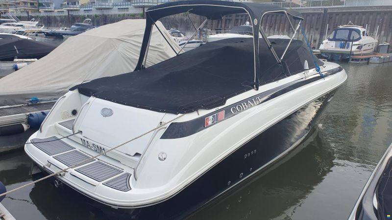 Cobalt 293