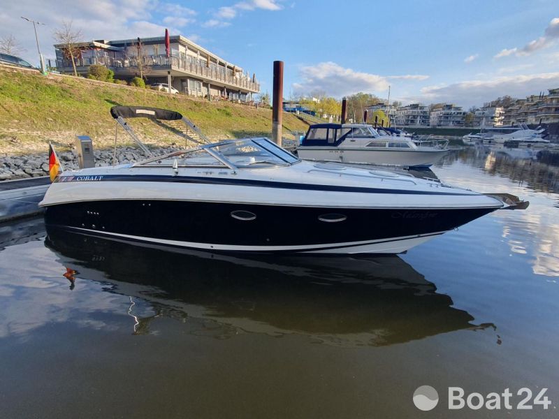 Cobalt 293