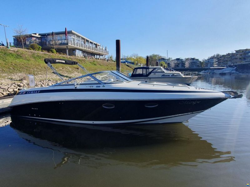 Cobalt 293