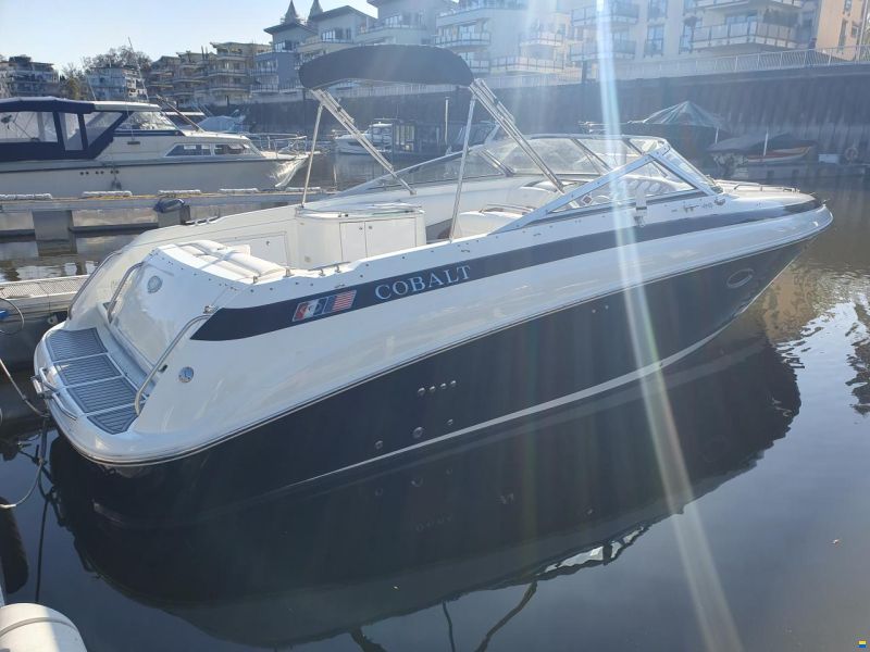 Cobalt 293