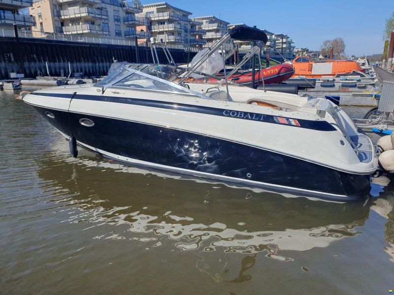 Cobalt 293
