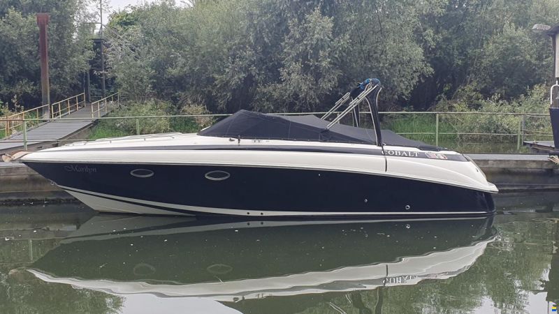 Cobalt 293