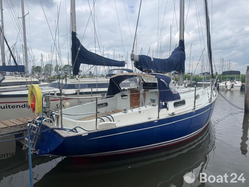 Contessa 32