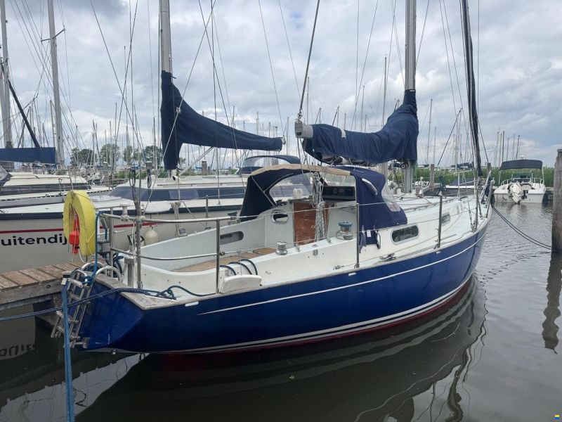 Contessa 32