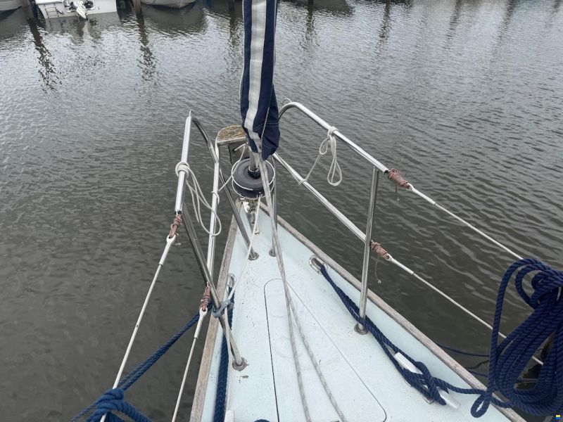 Contessa 32